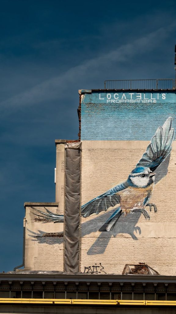 bird-mural-on-urban-building-under-blue-sky-32656372